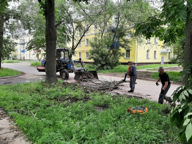 Жители домов по ул. Пионерской, от ул. Орджоникидзе до ул. Дзержинского, обратились в администрацию города с просьбой убрать с зелённой зоны ветки, а некоторые из них были очень крупные