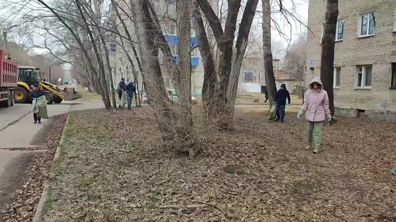 19 апреля сотрудники библиотеки имени Н. Островского Комсомольска-на-Амуре приняли участие в субботнике